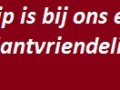 Kippenhandelheindryck_quote 6